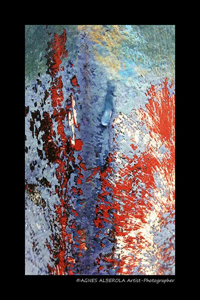 Macro-photographie abstraite d'une coque gris-bleu avec une tache rouge brique