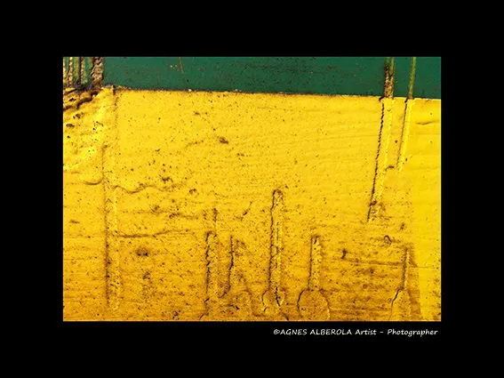 Macro-photographie abstraite jaune ocre à bande verte