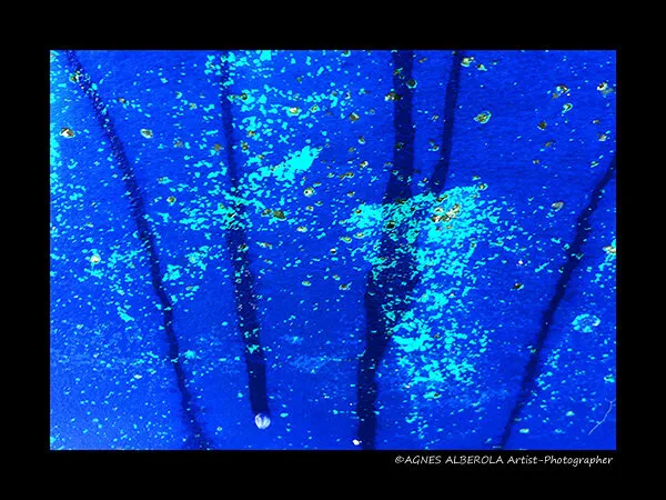 Macro-photographie abstraite d'une coque bleu profond et turquoise, une perle blanche en bas